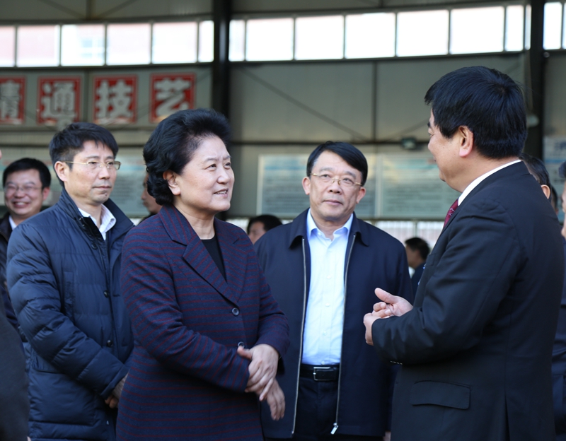 中共中央政治局委員、國務(wù)院副總理劉延?xùn)|在教育部副部長朱之文，四川省教育廳廳長朱世宏等陪同下視察四川應(yīng)用技術(shù)職業(yè)學(xué)院_副本.jpg